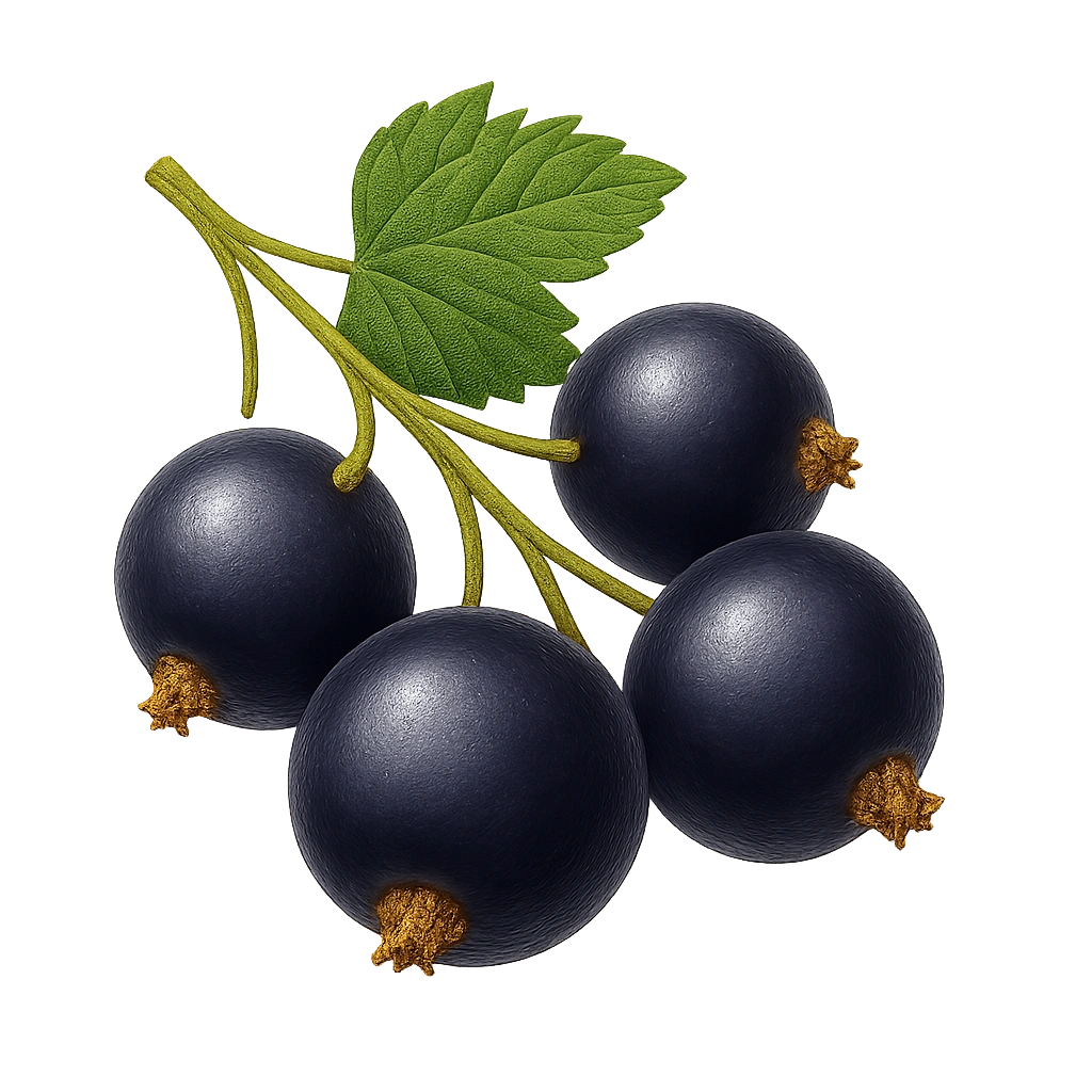 Blackcurrant flavor